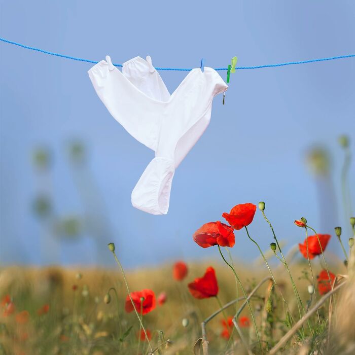 Playful animal made from laundry hanging on a blue line above a field of red poppies in a picturesque landscape.