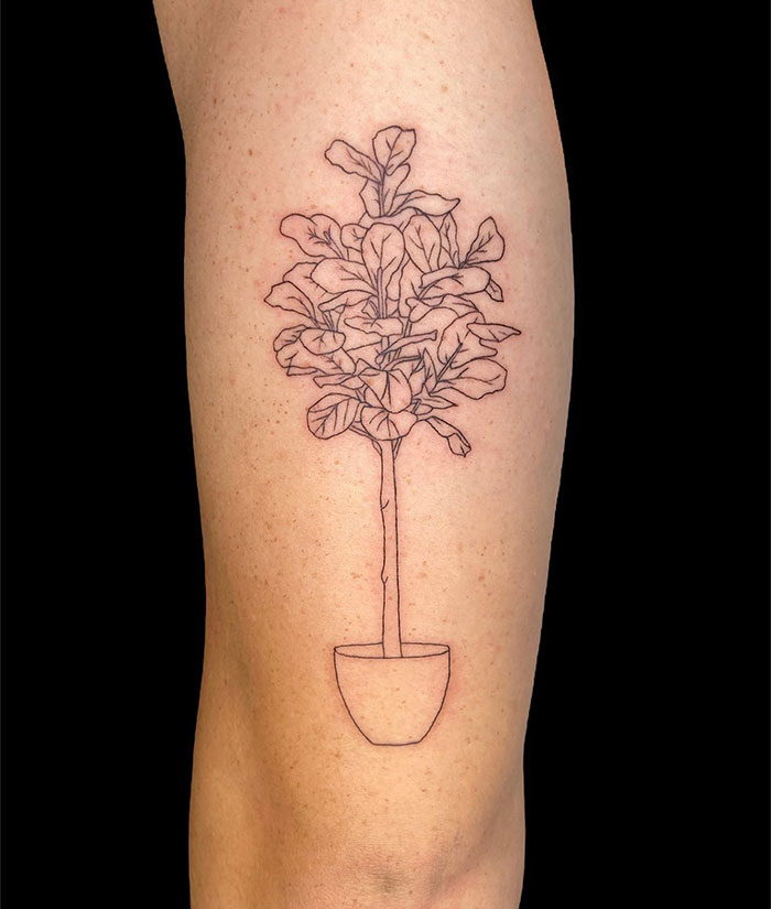  Botanical tattoo ideas for men featuring a minimalist linework design of a potted plant with detailed leaves and a tall, slender trunk, creating a simple and elegant nature-themed piece.