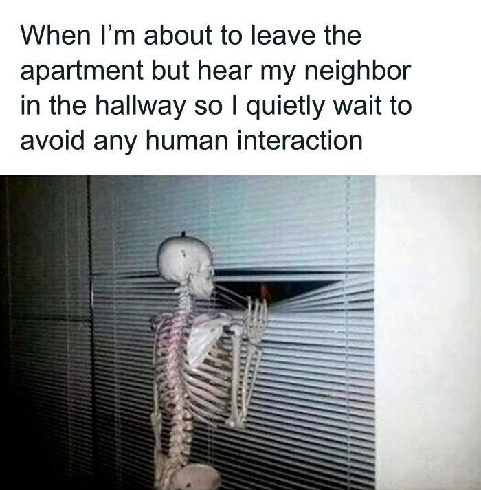 Skeleton peeking through blinds to avoid human interaction, depicting a funny and relatable introvert meme about life as an introvert.