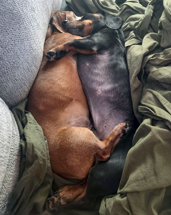 Caught My Boys Sleeping Together Like This