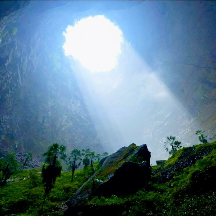 Un enorme agujero de más de 290 metros de profundidad en el condado de Xuanen (Hubei, China) alberga un ecosistema único de árboles, plantas y animales ancestrales.