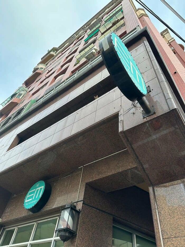 Cute-There-Is-No-Cat-Images