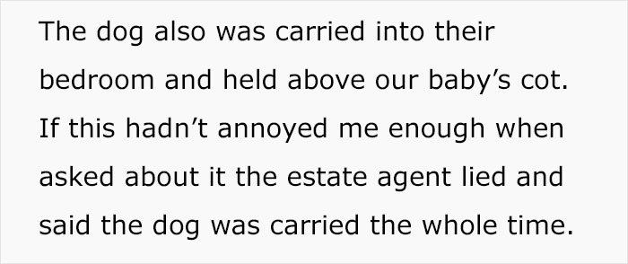 Estate Agent Allows Buyer’s Dog Into Family Home, Security Footage Exposes The Truth Estate Agent Allows Buyer’s Dog Into Family Home, Security Footage Exposes The Truth