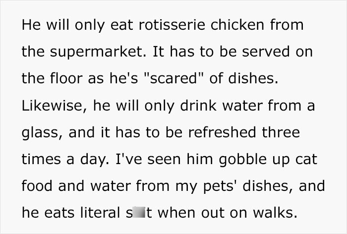 Woman&rsquo;s Mother Insists On Ludicrous Requirements For Untrained Dog, She Takes To The Web To Vent