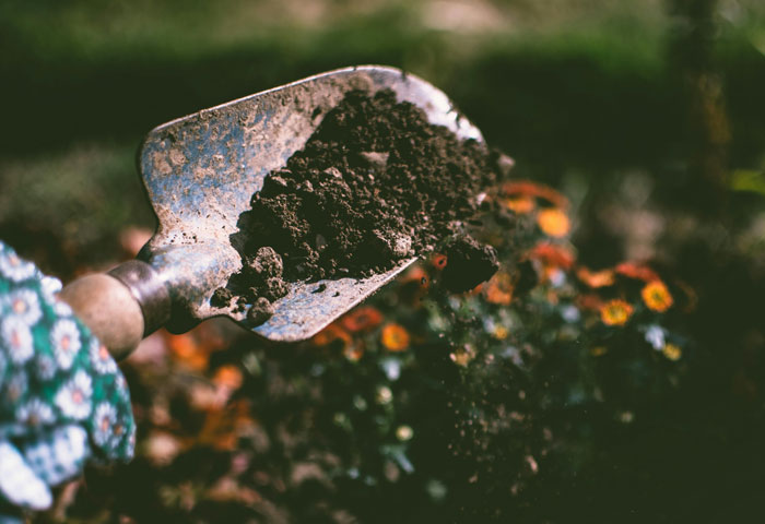 Gardening trowel scooping soil with blurred flowers in the background, illustrating village deprivation scenes.