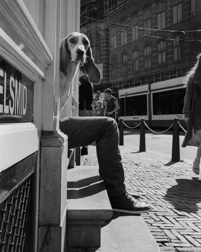 This Instagram Account Shares Highly Amusing Street Photos; Here Are Their 34 Newest Ones