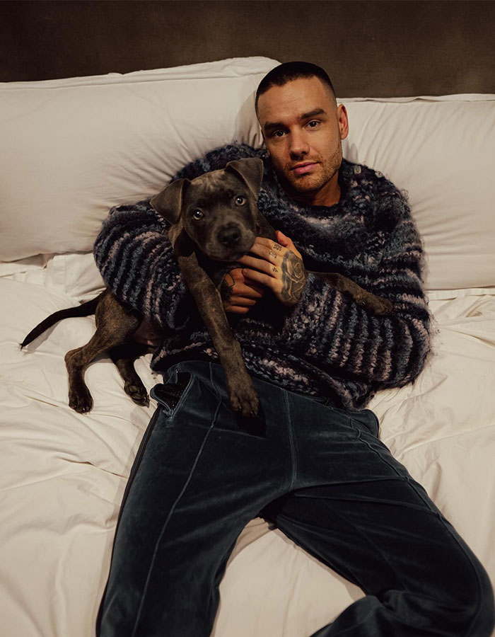 Shocking Photos Of Liam Payne's Room Surface As Fans Speculate On Pool Jump Theory