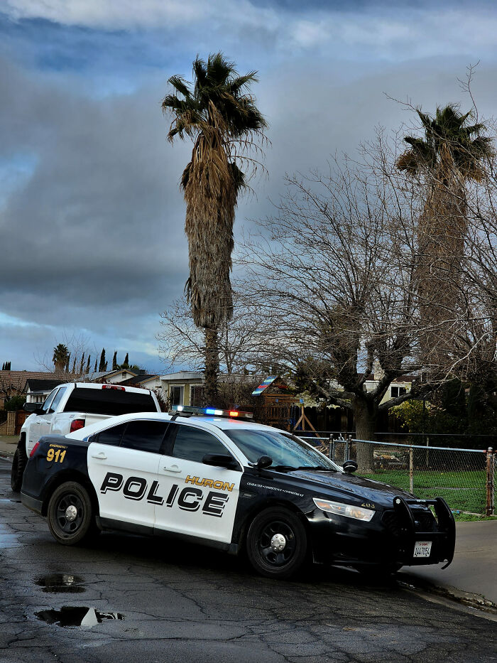 The Huron Police Department Helped A Puppy Who Couldn&rsquo;t Get Out Of A Smelly Situation Alone
