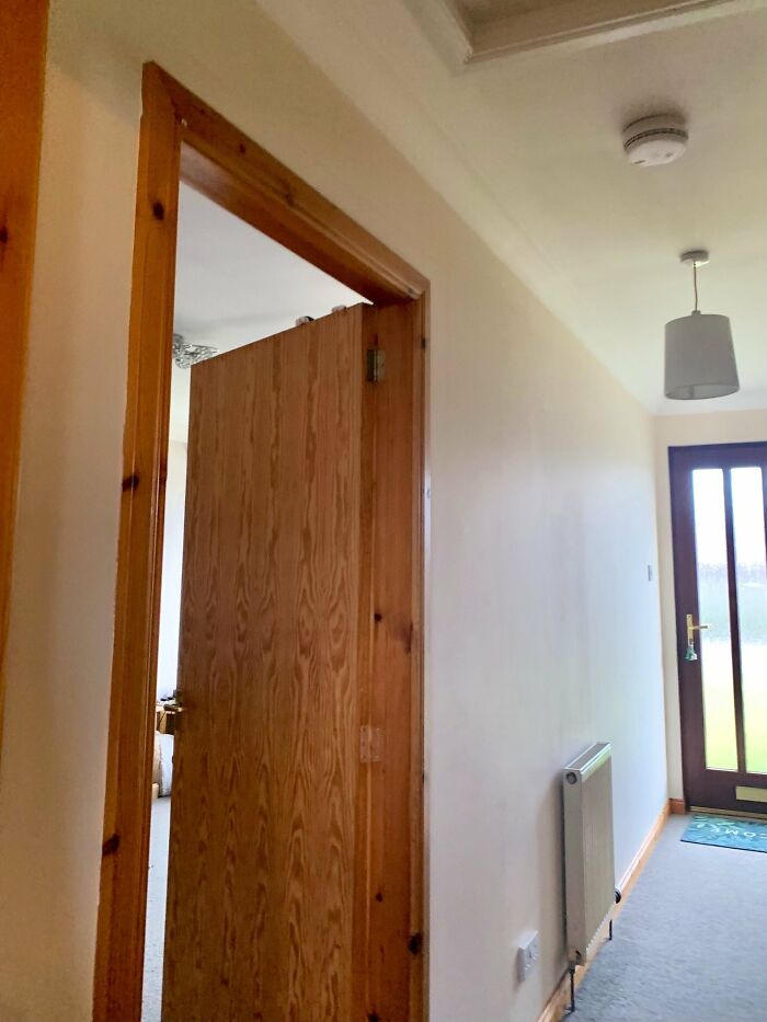 Cute-There-Is-No-Cat-Images