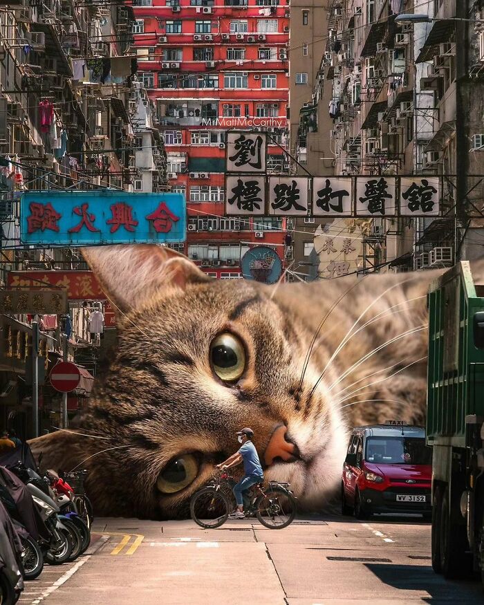 Giant cat in a busy urban street scene, illustrating surrealism.