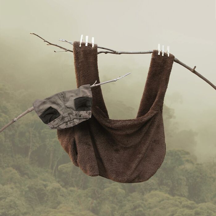 A playful animal made from laundry hanging on a branch, captured in a misty picturesque landscape.