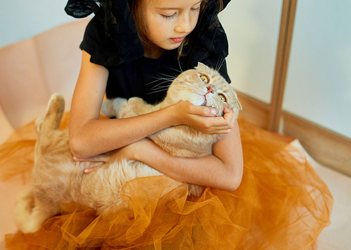 Girl Loses It When Woman Adopts A Cat She Wanted At The Shelter As Punishment For Torturing It