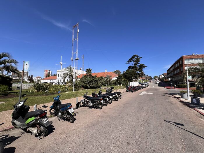 Cute-There-Is-No-Cat-Images