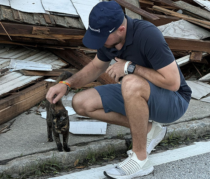 Reporter Arrives To Check Hurricane's Damage And Is Met By Fluffy Survivor Reporter Arrives To Check Hurricane's Damage And Is Met By Fluffy Survivor