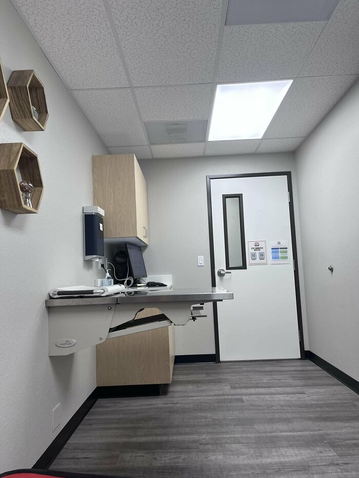 Cute-There-Is-No-Cat-Images