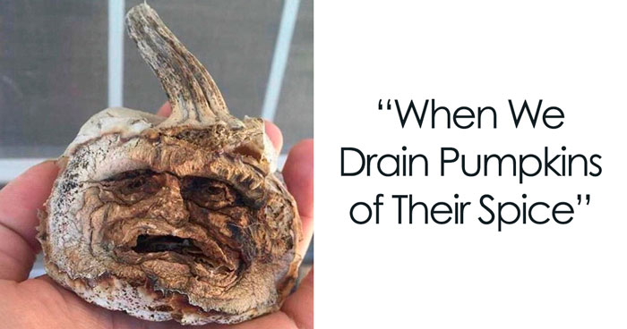 38 Fall Memes That Perfectly Capture The Cozy Vibes Of The Season