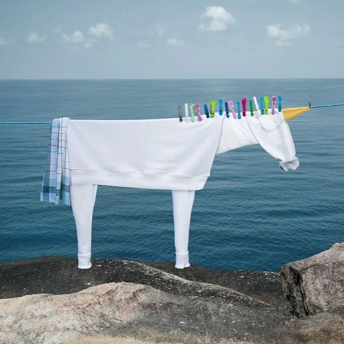 Playful animal made from laundry hanging on a line, creatively captured in a picturesque ocean landscape.
