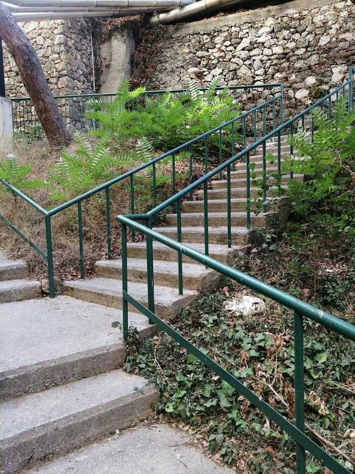 Cute-There-Is-No-Cat-Images