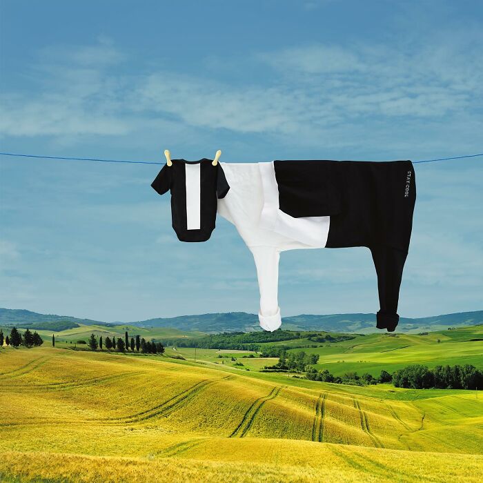 Playful animal created from laundry hanging on a line against a picturesque landscape with rolling green hills.