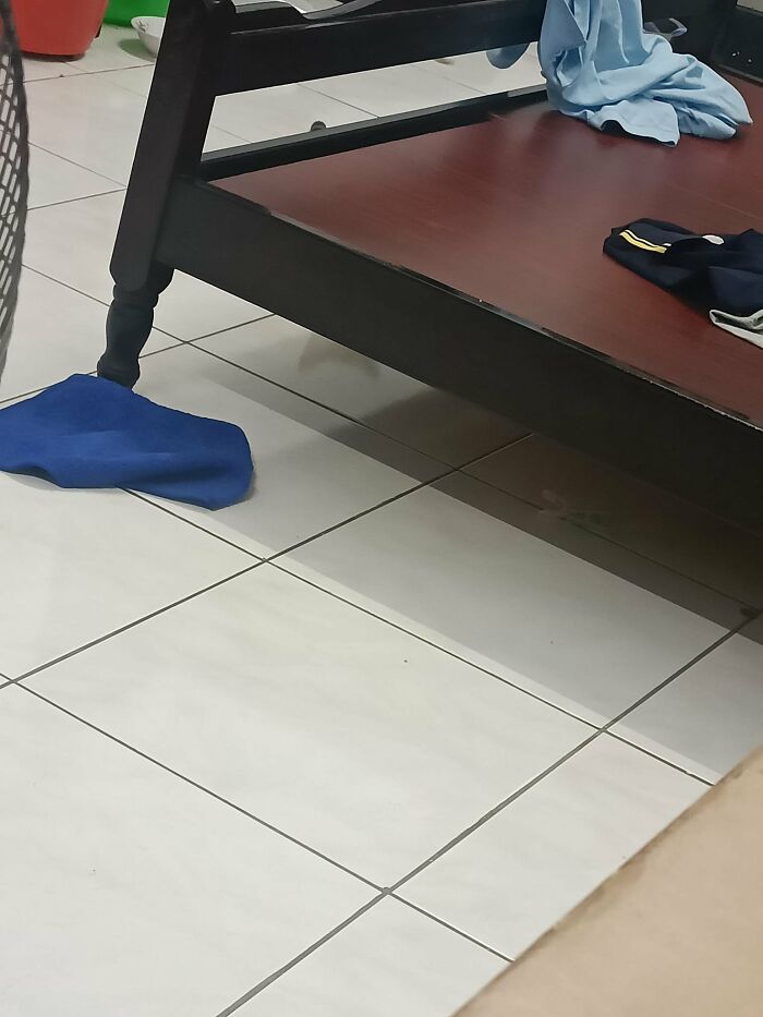 Cute-There-Is-No-Cat-Images