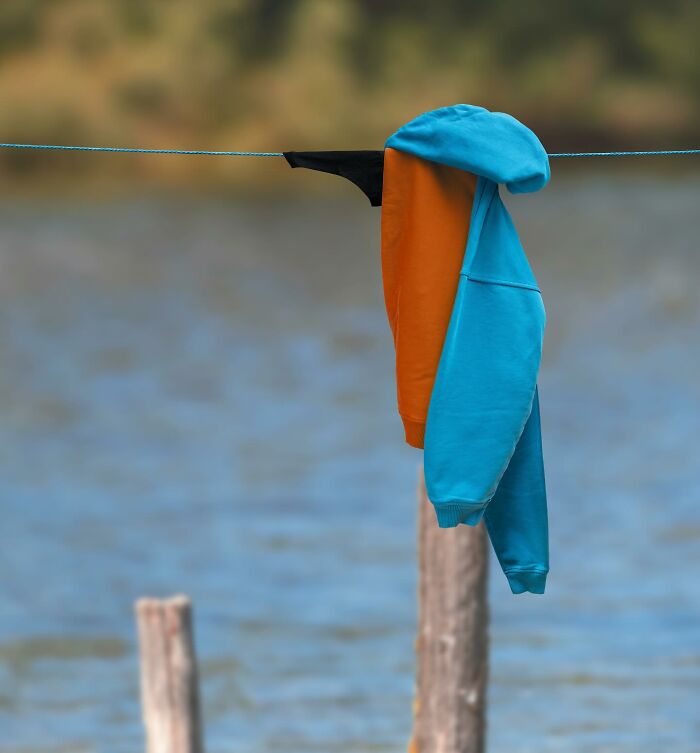 Playful animal made from laundry hanging on a clothesline with a picturesque lakeside landscape in the background