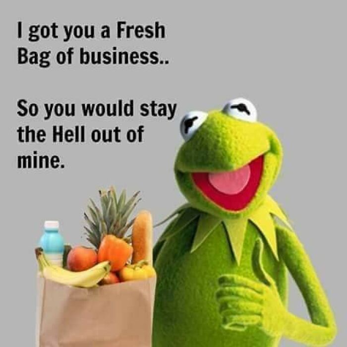 Kermit holding a bag of groceries with a humorous twist, featuring unexpected text.