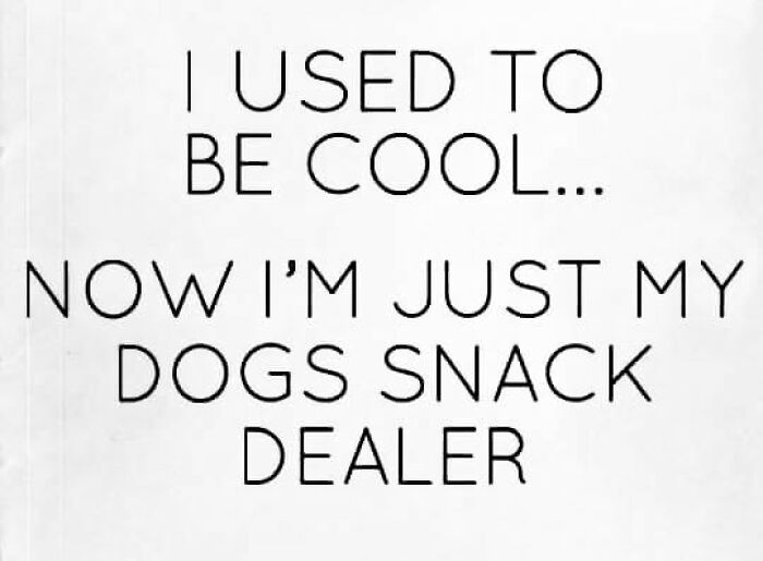 Text meme humorously expressing a shift from being 'cool' to a 'dog's snack dealer,' capturing twisted and unexpected humor.