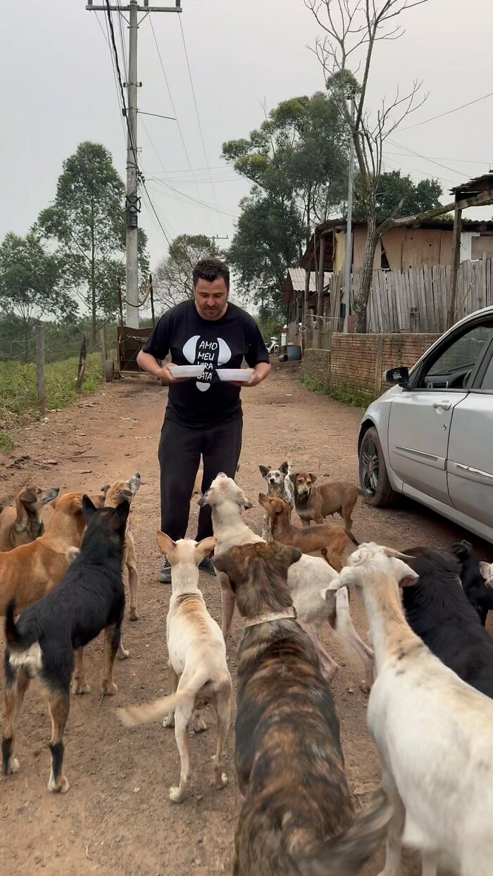 Feeding stray dogs, a man holds food as many dogs gather around him on a rural dirt road next to a car. Feeding stray dogs, a man holds food as many dogs gather around him on a rural dirt road next to a car.