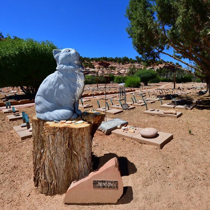 This Instagram Account Shows Us What Pet Cemeteries Tell Us About Human Emotions (23 Pics)