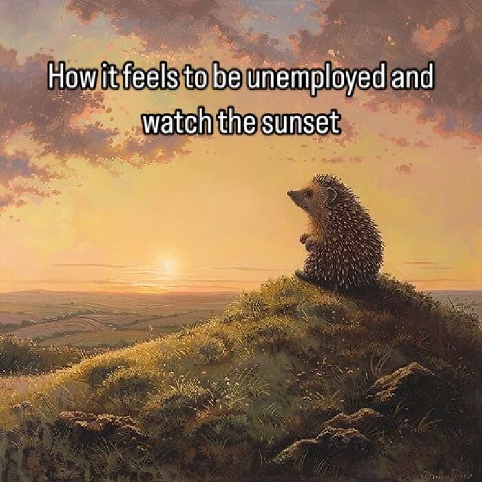 Hedgehog watching a sunset on a grassy hill, relatable meme on beautiful vintage pictures about unemployment feelings.