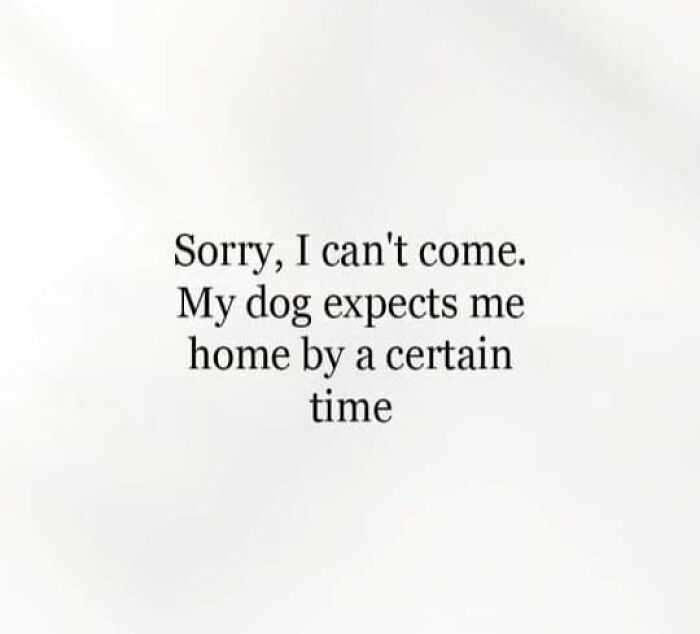 Text-based meme with a humorous excuse about a dog's schedule.