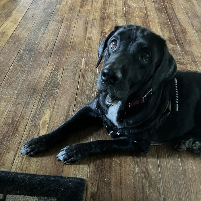 When She Was Found Dumped In An Empty Field, She Was Barely Living, But Love And Care Did Wonders When She Was Found Dumped In An Empty Field, She Was Barely Living, But Love And Care Did Wonders