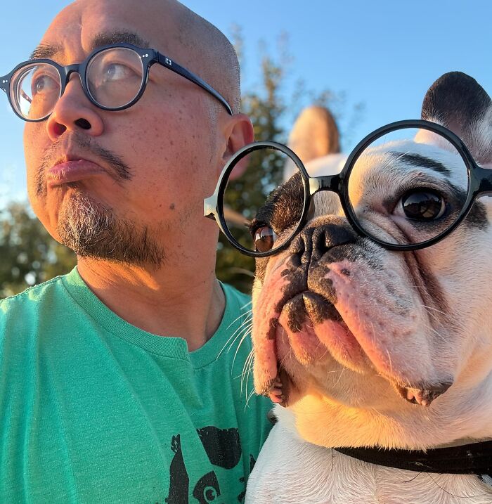 Rebellious Pup Who Failed 3 Adoption Attempts Finds His Perfect Match And Becomes Local Celebrity Rebellious Pup Who Failed 3 Adoption Attempts Finds His Perfect Match And Becomes Local Celebrity