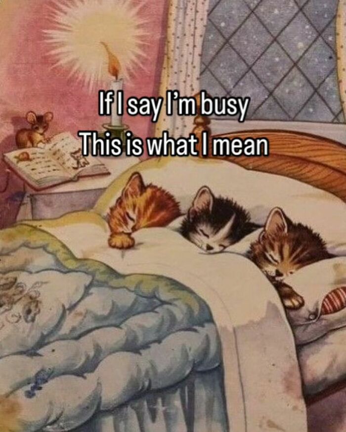 Three kittens sleeping under a blanket in a cozy vintage bedroom with a candle and a book nearby, relatable meme.