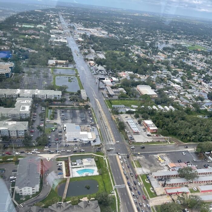 You Can Tell How Grateful This Pup Is To Be Rescued From Hurricane Milton Flooding You Can Tell How Grateful This Pup Is To Be Rescued From Hurricane Milton Flooding