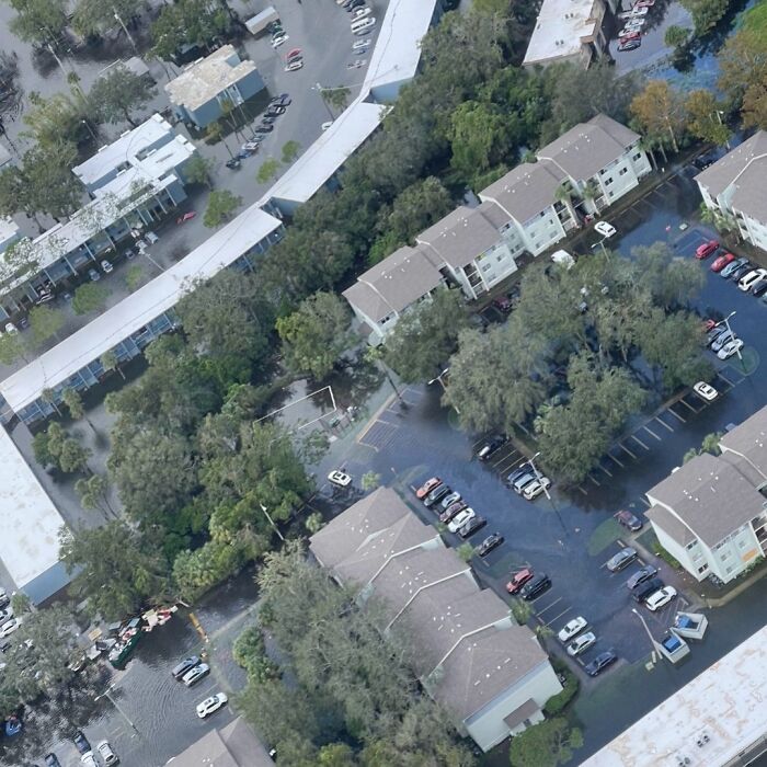 You Can Tell How Grateful This Pup Is To Be Rescued From Hurricane Milton Flooding You Can Tell How Grateful This Pup Is To Be Rescued From Hurricane Milton Flooding