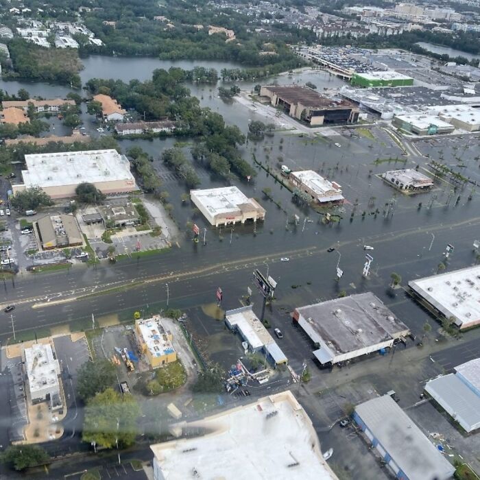 You Can Tell How Grateful This Pup Is To Be Rescued From Hurricane Milton Flooding You Can Tell How Grateful This Pup Is To Be Rescued From Hurricane Milton Flooding