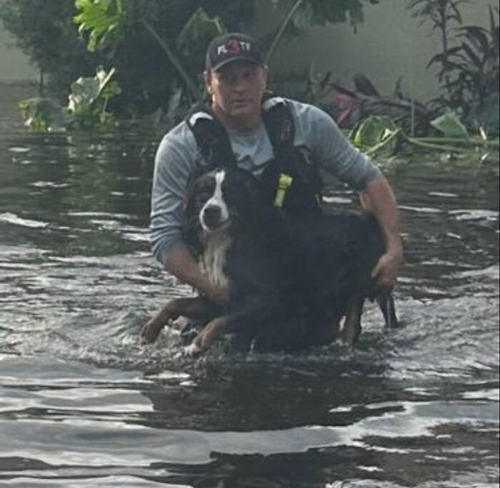 You Can Tell How Grateful This Pup Is To Be Rescued From Hurricane Milton Flooding You Can Tell How Grateful This Pup Is To Be Rescued From Hurricane Milton Flooding