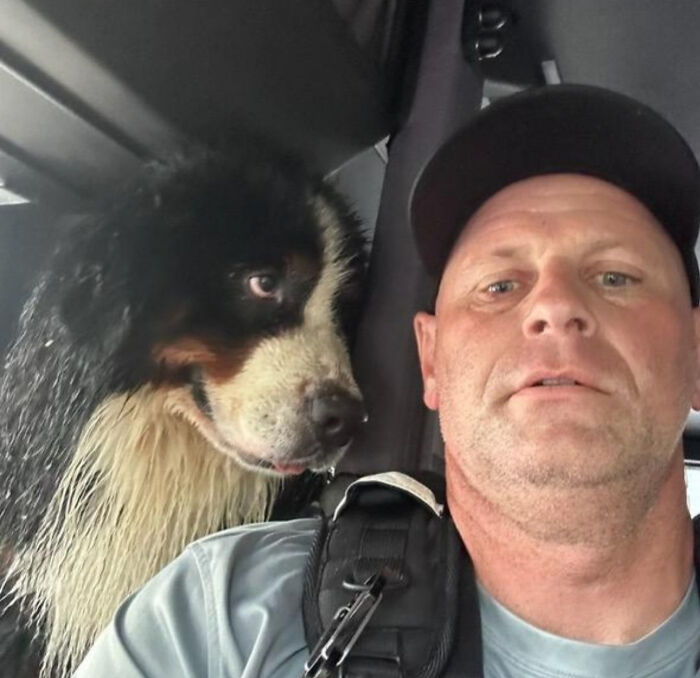 You Can Tell How Grateful This Pup Is To Be Rescued From Hurricane Milton Flooding You Can Tell How Grateful This Pup Is To Be Rescued From Hurricane Milton Flooding