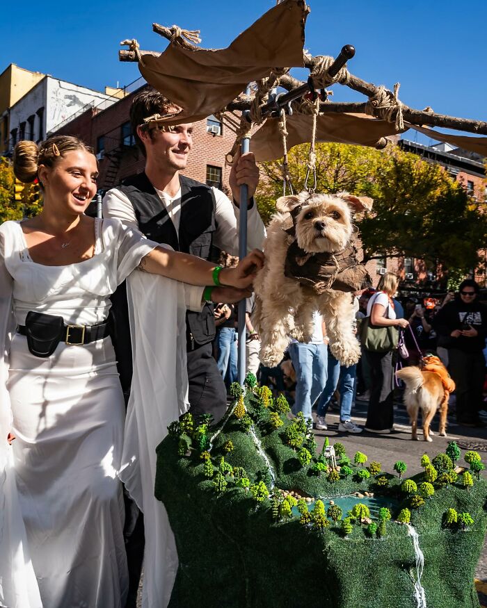 Spooky-Dog-Halloween-Parade