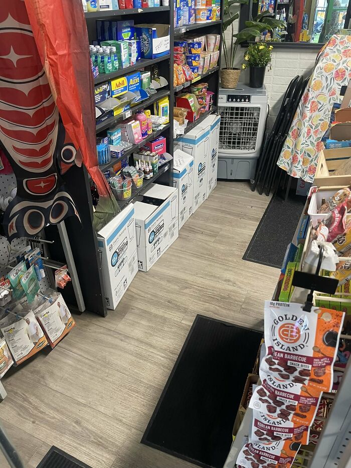 Cute-There-Is-No-Cat-Images