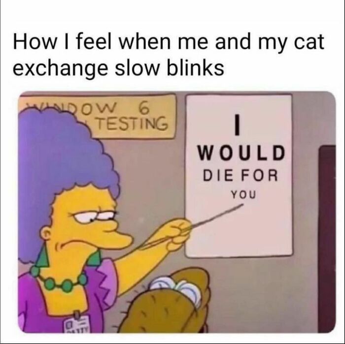 Funny-Random-Memes-Morememesdammit