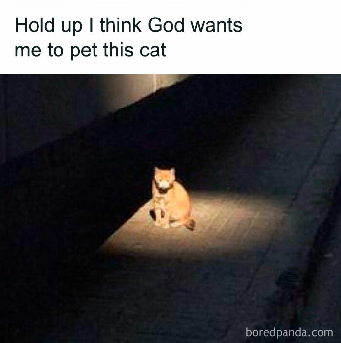 This Post Was Created By：@haigmelikian