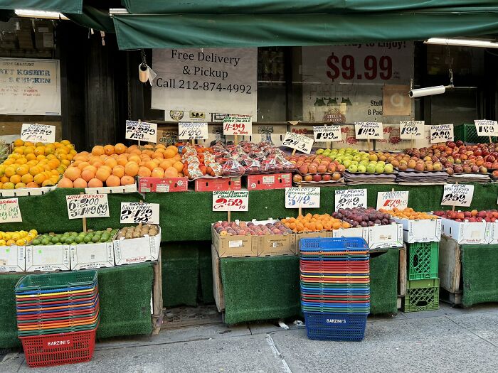 Cute-There-Is-No-Cat-Images