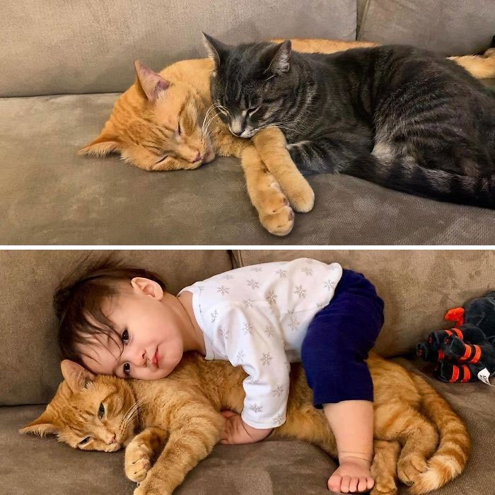 Best-Before-After-Having-Kids-Got-Toddlered