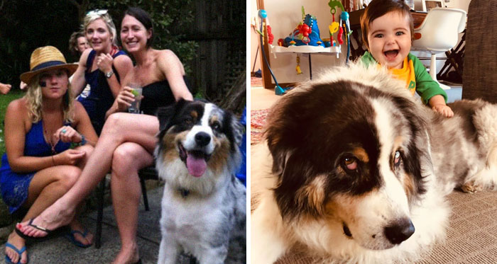 Best-Before-After-Having-Kids-Got-Toddlered