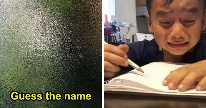 Are You Smarter Than A 5th Grader – Only 50% Of People Get All Questions Right