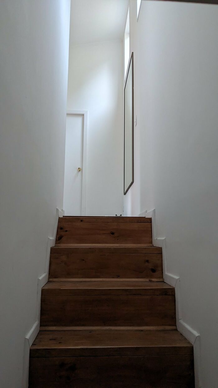 Cute-There-Is-No-Cat-Images