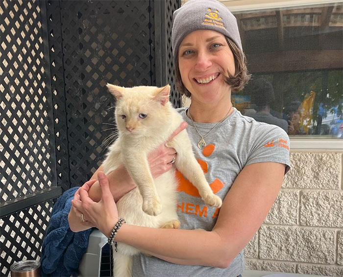 Cat Floats Away During Flood, Family Finds Him Chilling At Home When They Return A Week Later