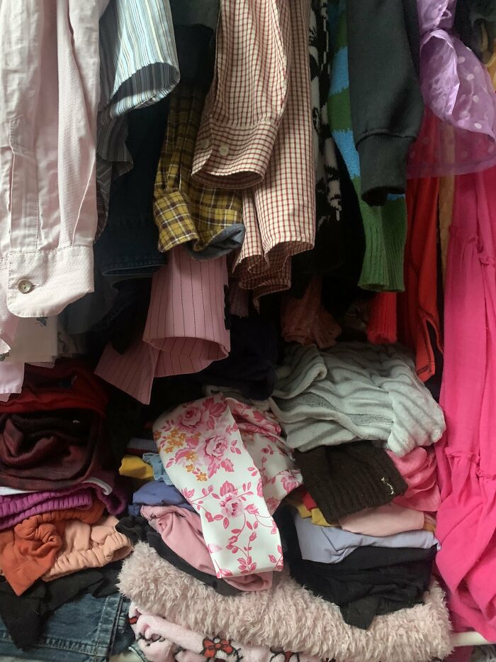 Cute-There-Is-No-Cat-Images